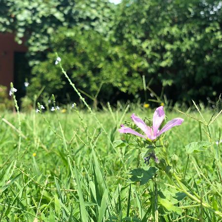 Apartmani Pavicevic Podgorica Bagian luar foto
