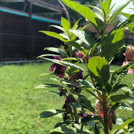 Apartmani Pavicevic Podgorica Bagian luar foto